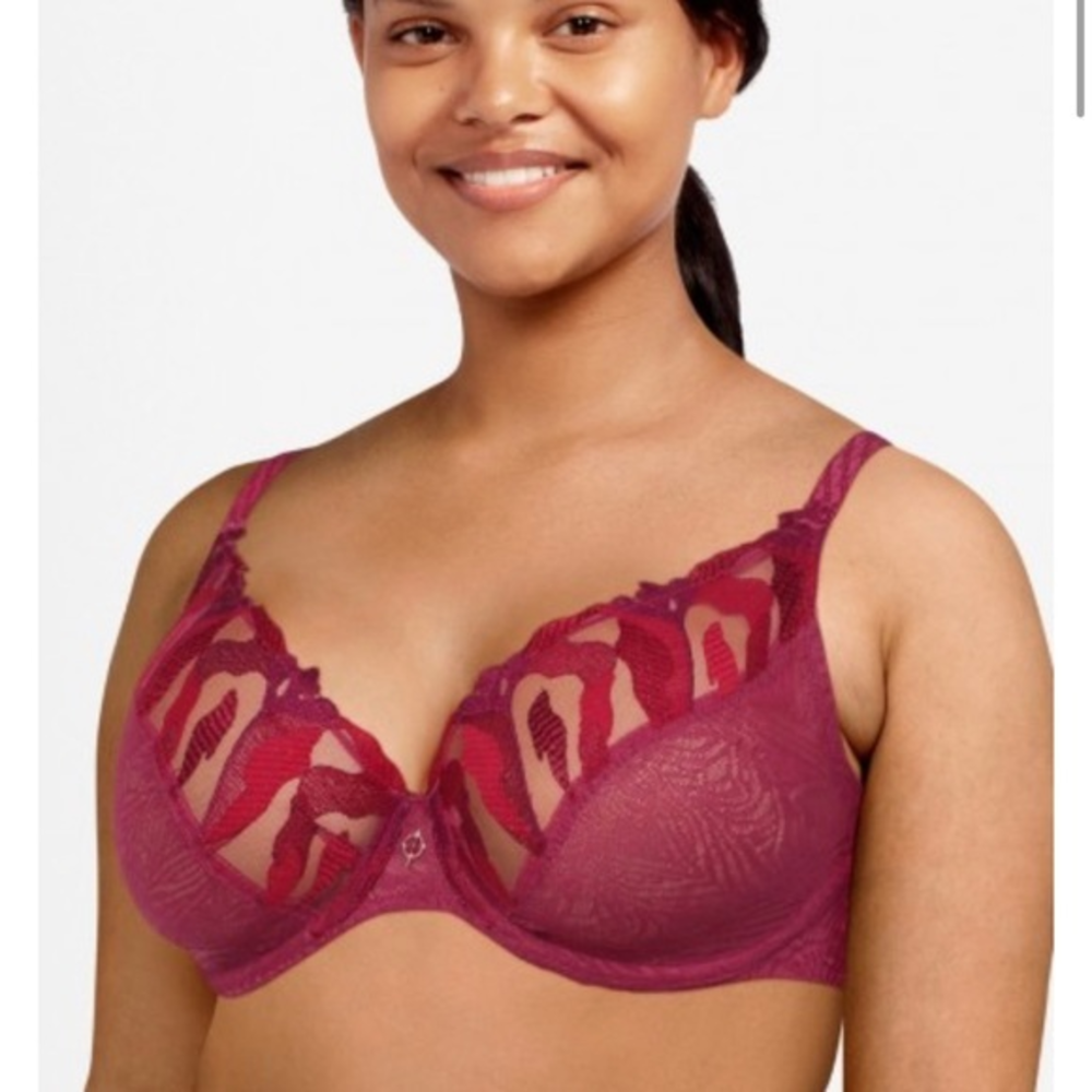 Chantelle Parisian Allure Unlined Plunge Bra Magenta Red Lace 2231 36B